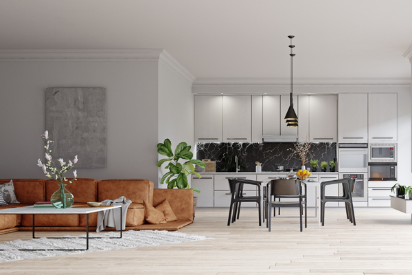 Living room remodel. Open floor plan.
